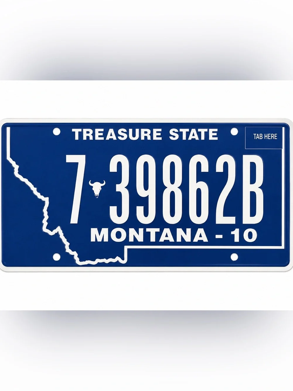 Montana Treasure State License Plate